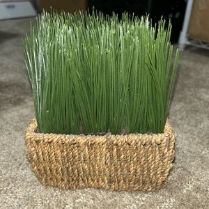 Allstate Floral & Craft 6" Hx5 Wx5 L  Box Grass Basket